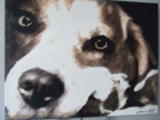 Barbara Hartung-Kunstwerk4you-Basset