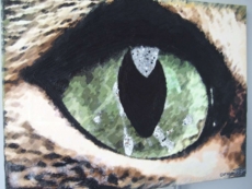 Barbara Hartung-Kunstwerk4you-Katzenauge